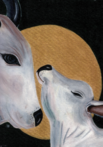 cow and calf